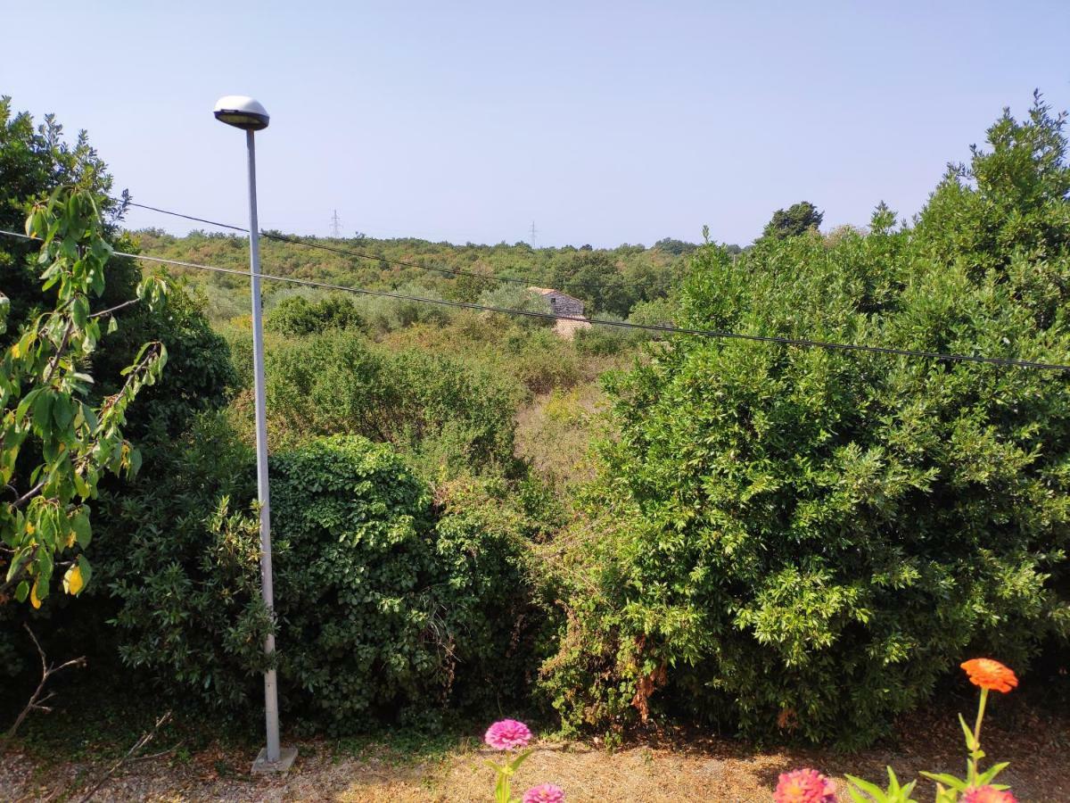 Apartma Anja Umag